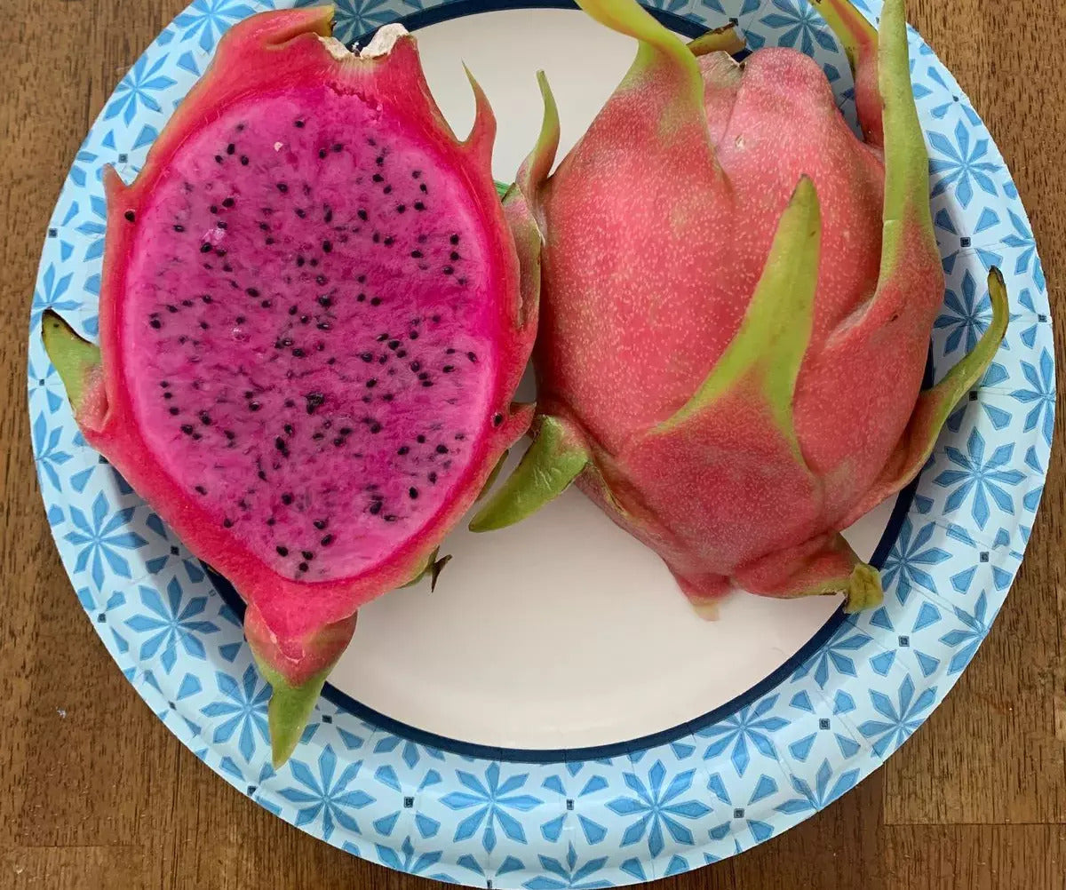 Darkstar Dragon Fruit: A Rare Treat for Exotic Fruit Lovers from Rare Harvest